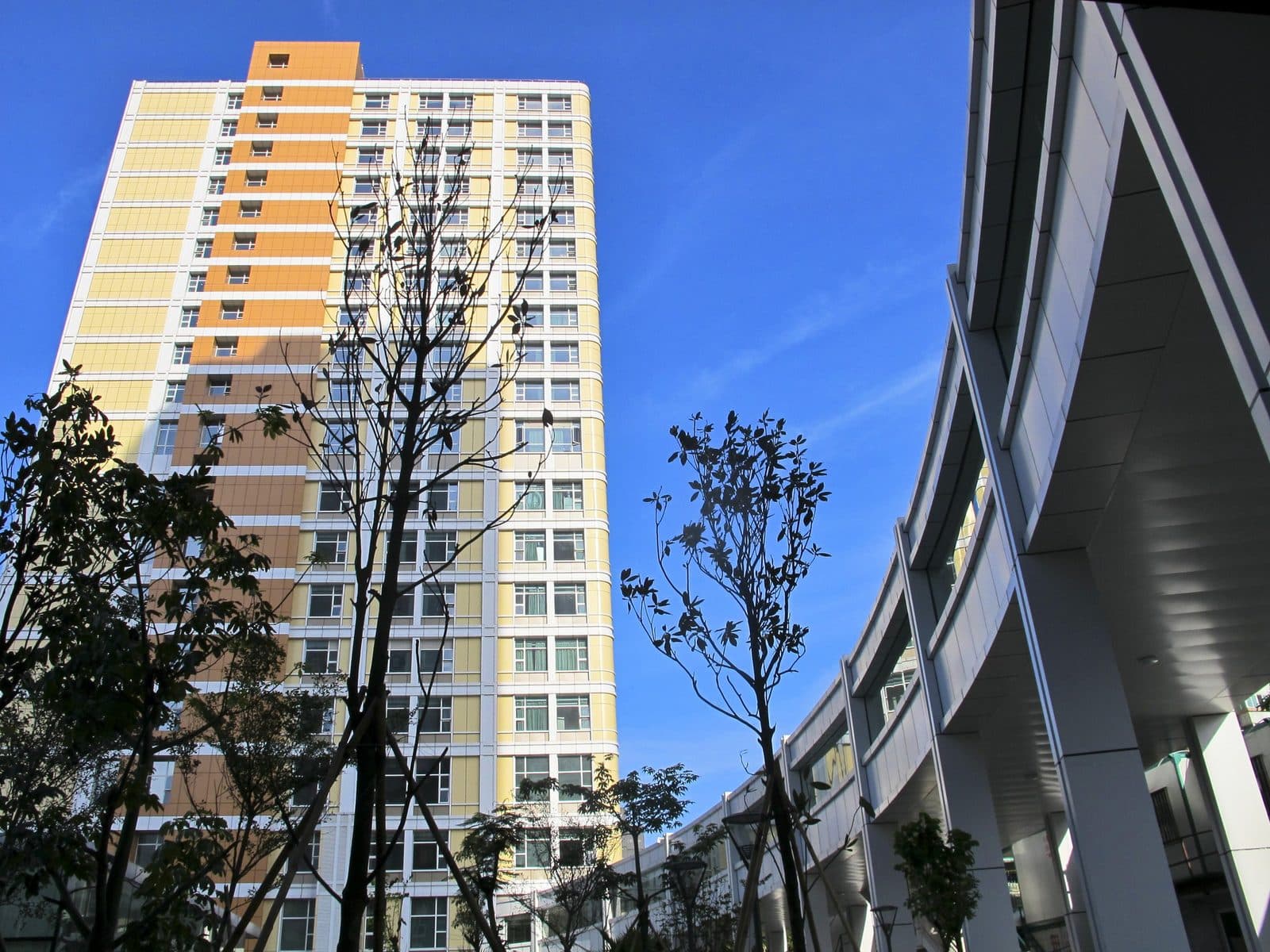O Cancer Sun Yat-sen University Cancer Center, Guangzhou | ChinaHealth