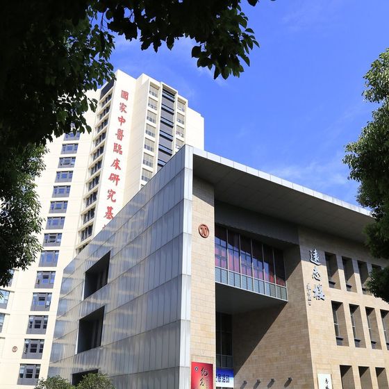 Longhua Hospital (上海中医药大学附属龙华医院) building exterior