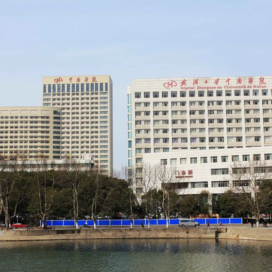 Zhongnan Hospital of Wuhan University (武汉大学中南医院) building exterior